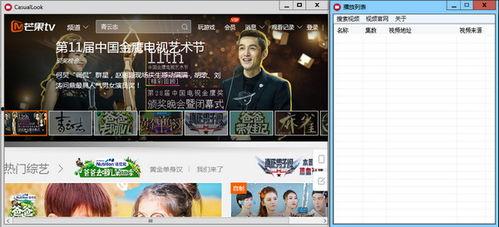 队长爆料最新视频播放器,最新视频播放器震撼来袭，带你领略全新观影体验！